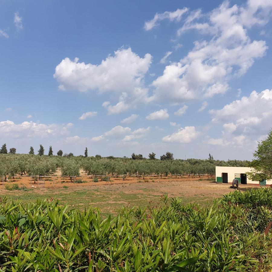 Finca-Vallestares Almonte Ngoại thất bức ảnh