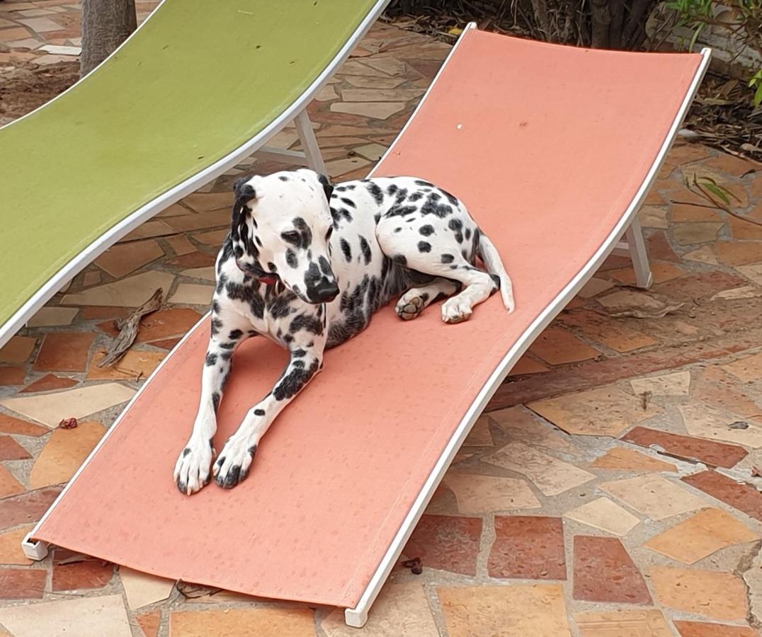 Finca-Vallestares Almonte Ngoại thất bức ảnh